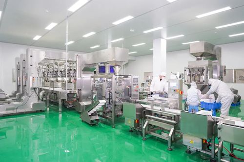 閩籍企業昆山再啟新程，速品食品新工廠奠基，黃亞強會長親臨見證